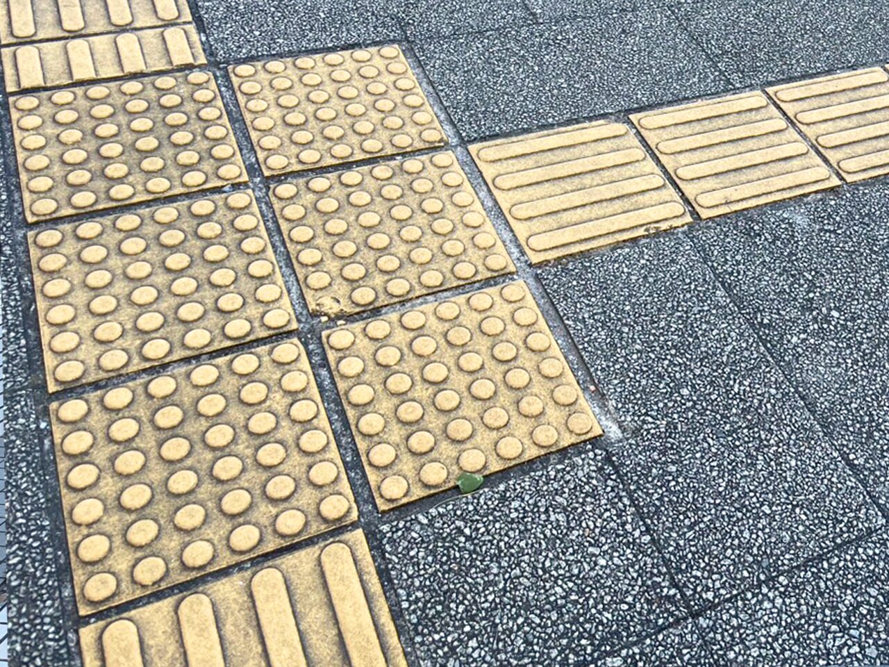 からだが不自由ってどんなこと？
6冊セット　まとめ売り　全巻　完結
絶版希少 maxresdefault.jpg?sqp=-